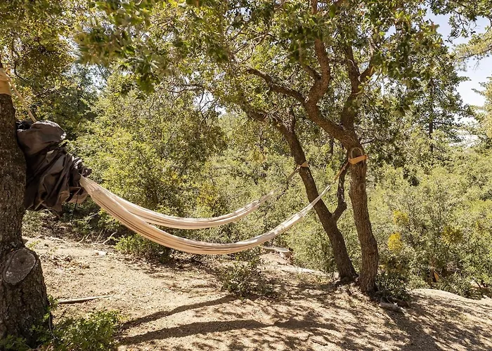 Dog Friendly A-Frame Hot Tub Nature Views